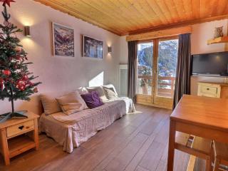 Charmant 2 Pièces au Pied des Pistes à Méribel - FR-1-182-274 - 0