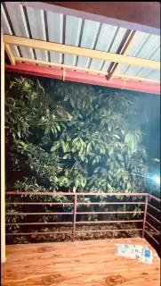 Gokarna, Shree Guru Homestay - 1