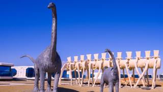 Tegri Gobi Resort - 5