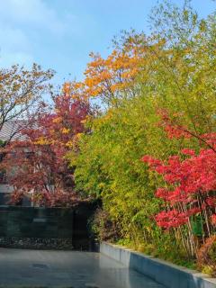 Greenland Mansion - 2