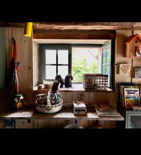 Une nuit en CABANE dans la Forêt - 2