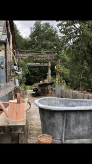 Une nuit en CABANE dans la Forêt - 1