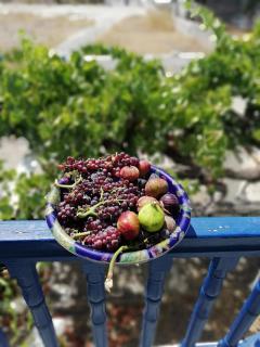 Matina apartment Naousa Paros - 2
