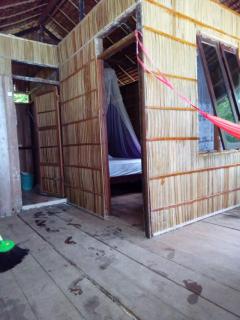 " Wobbegong Raja Ampat " - 8