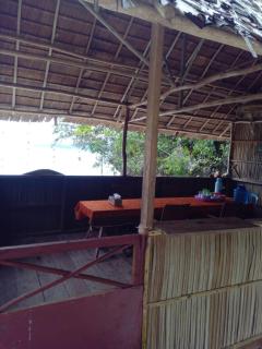 " Wobbegong Raja Ampat " - 3