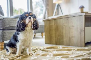 Lodge 73 at Riviera Bay Coastal Retreat - 1