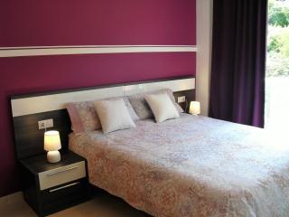 Apartament Volcà Garrinada - Olot - 1