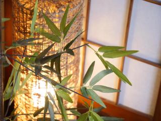 Amber Iidabashi - Vacation STAY 90505v - 6