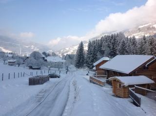 Woody Park Chalet 14 - Kaindorf - 4