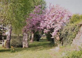 les gites du verger - 7