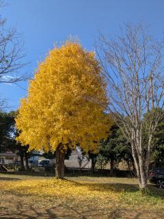 民泊サライ七城 - 7