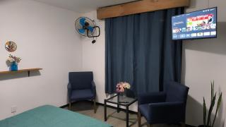 Jardines del bosque - 2