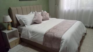 Pitta Opulent Apartments - 0