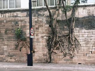 落脚城市青年旅舍 - 5