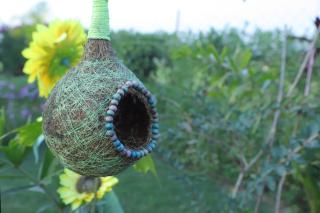 The Tiger Waterfront Resort - 2