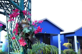 The Tiger Waterfront Resort - 1