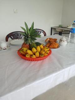 Comfort Castle Inn - 7