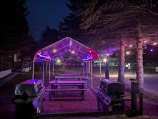 Tiny Wood Cottage 14 - 2