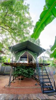 Glamping In The Sky And Tree House - 8