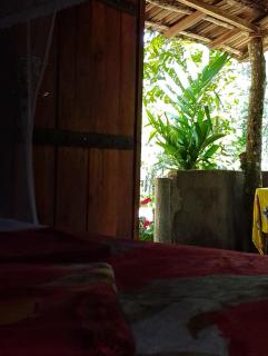 kapi wild cottage Ella - 8