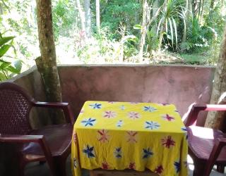 kapi wild cottage Ella - 9