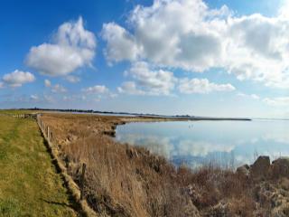 Apartments in the Avalon Hotel Bellevue, Fehmarn - 5