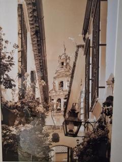 Nuevo y centrico, Santa Marina - 4