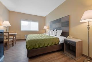 Quality Inn Bemidji - 7