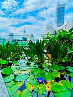 Axon Residence Suites KL Bukit Bintang - 7