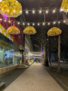 Historic Center 1BR Workspace & Fireplace - 4