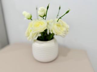 CBD Gem 1 bedroom with City view and balcony 4min walk to Train - 2