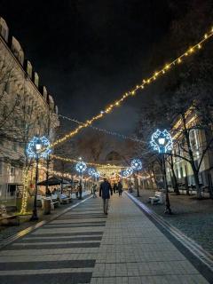 Pedestrian Street - New Renovation Studio - 6