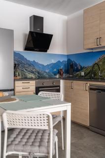 Przytulny apartament Szarotka 2 z balkonem - Nowy Targ - 1