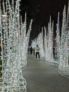 City Center New Apt, Top-Floor Balcony - 7
