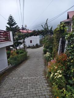 Just naturals Pauls Cottage - 9