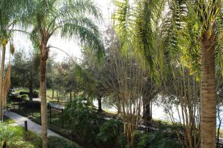 210 Disney Universal Convention Center - 8