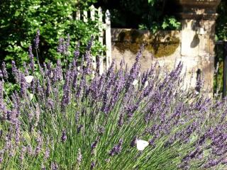 Chambre Saint-Nicolas, Le Prieuré - 9