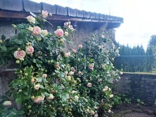 Chambre Saint-Nicolas, Le Prieuré - 6