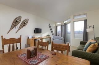 208 Village Gate condo - 4