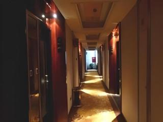 Jiuzhaigou Hanlin Sunshine Hotel - 9