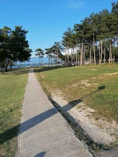 Apartment near Beach Sabunike-Zadar Riviera 55036 - 3