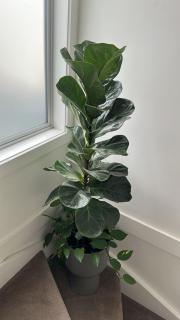 Inn Saigon Hotel - 4