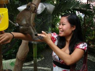 Alta Cebu Resort - 1