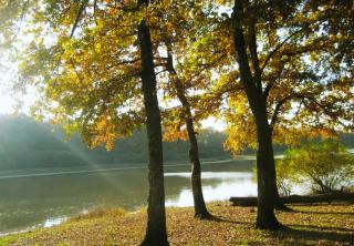 SAS Le Hameau des Grilles - 5