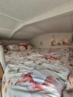 Tiny house on the Veluwe the outdoor life - 2