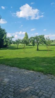 Tiny house on the Veluwe the outdoor life - 1