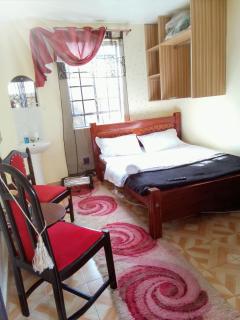 Muthiga Studio Airbnb - Nairobi - 9