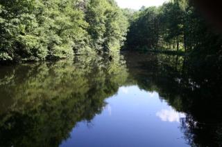 Chambre Printanière, Maison d'hôtes La Landre - 6