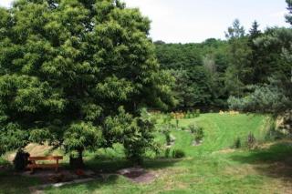 Chambre Printanière, Maison d'hôtes La Landre - 5