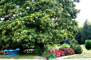 Chambre Printanière, Maison d'hôtes La Landre - 2